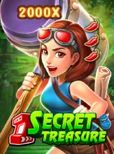Secret Treasure